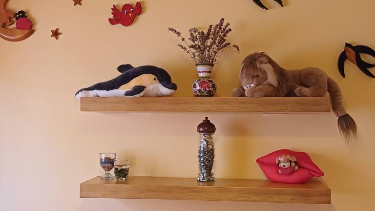 foto14