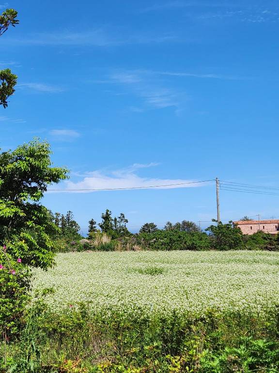 foto17