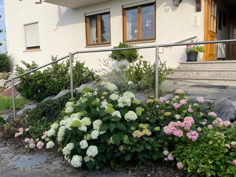 foto26