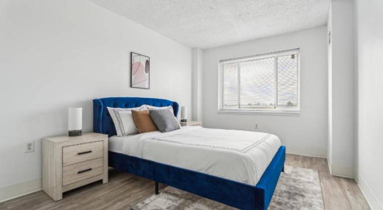Apartment | Perfect for remote work | Pets allowed in Richmond, VA