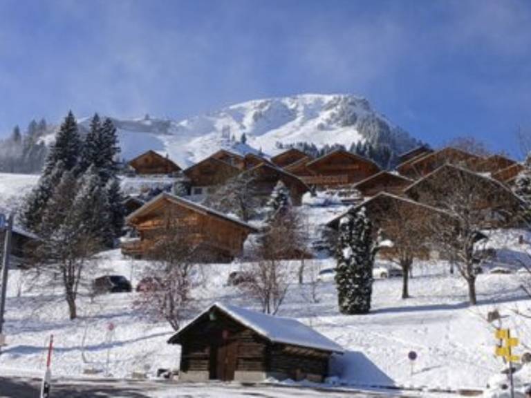 Ferienwohnung in Val-d'Illiez, Les Crosets f&uuml;r max. 4 Personen
