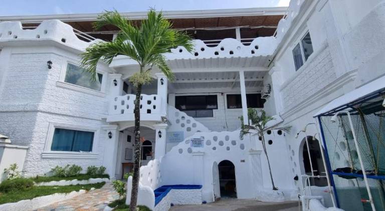 TSN Dive Resort Moalboal in Moalboal