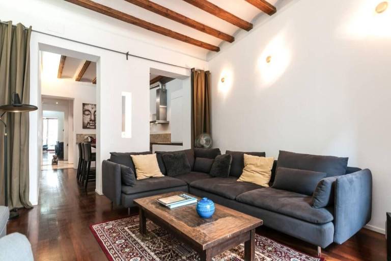 Family-friendly spacious rental apartment | Near Barcelona Cathedral | Pets are welcome in Barcelona