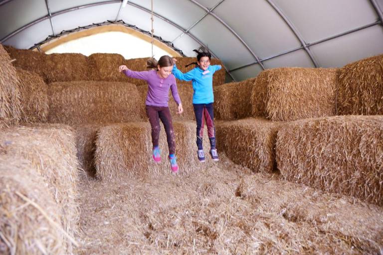 foto17