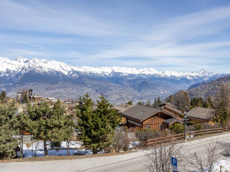Appartement Nendaz