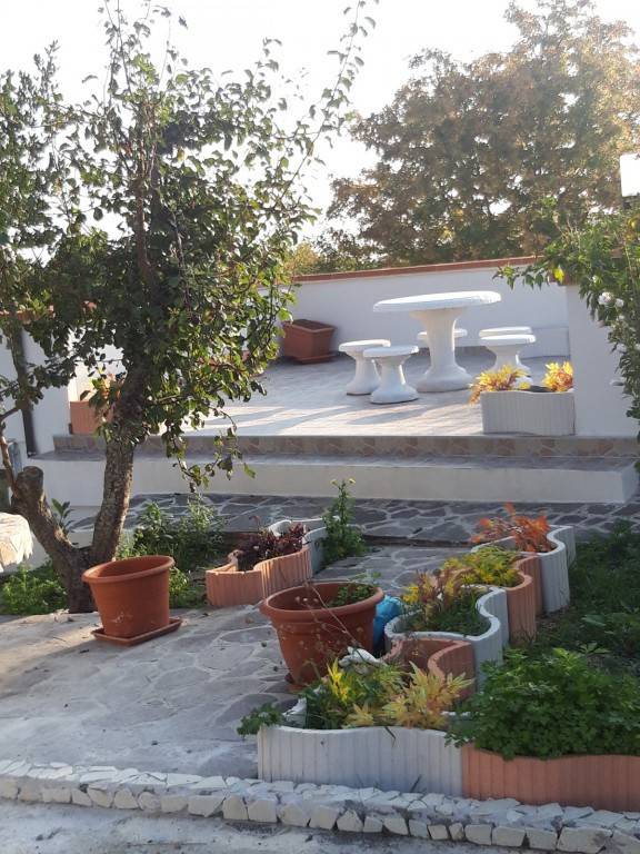 foto4