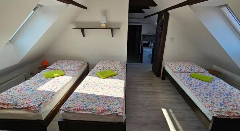 foto41