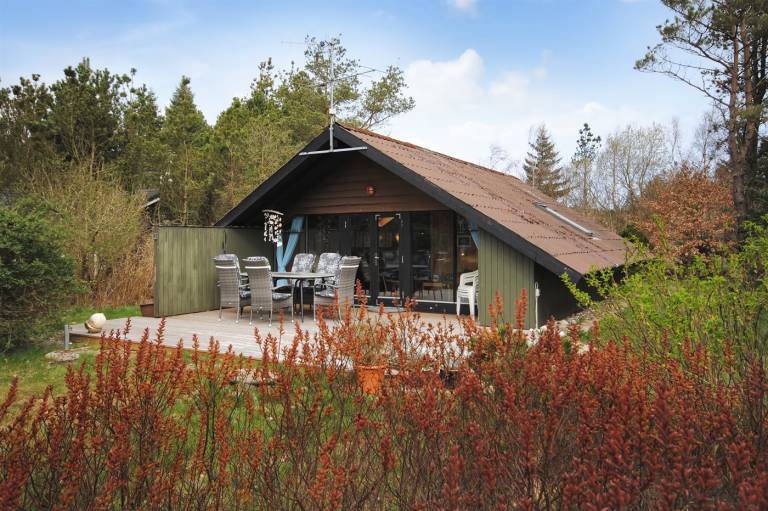 Ferienhaus Fjerritslev