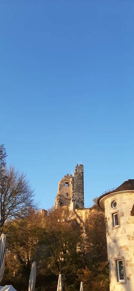 Apartment  Bornheim
