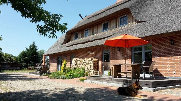 Ferienwohnung Malchiner See