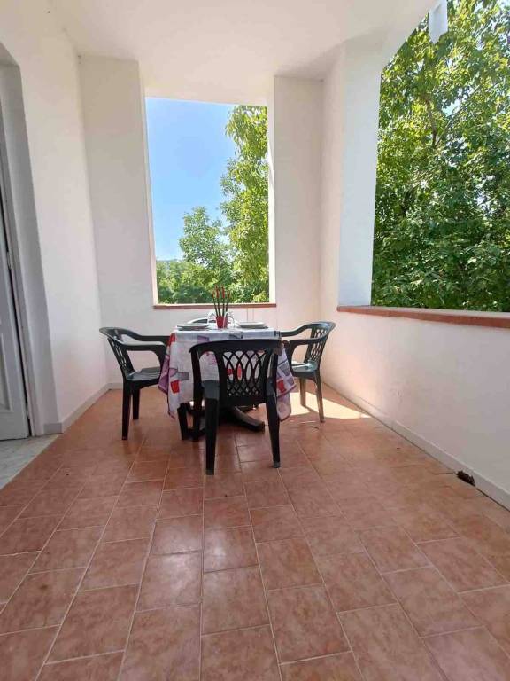 foto15