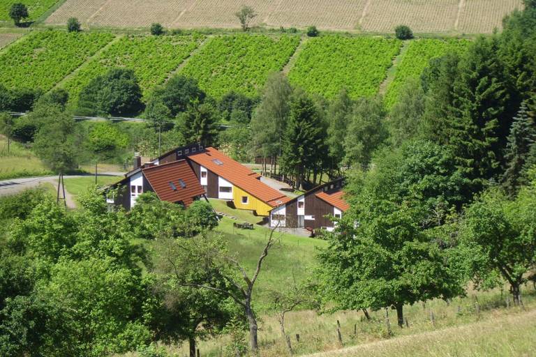 foto16