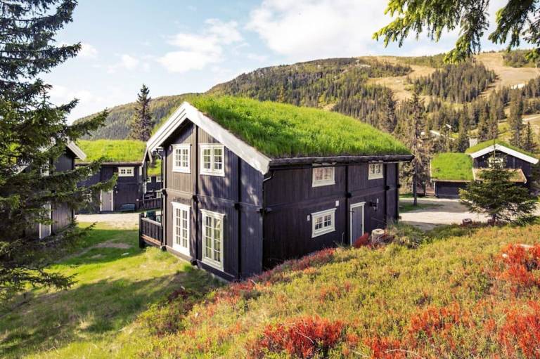 Hus Kvitfjell