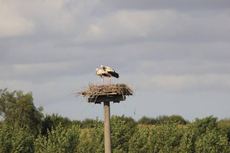 Ferienwohnung  Bad Oldesloe