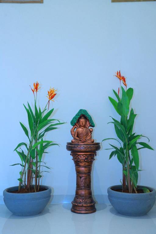 foto8
