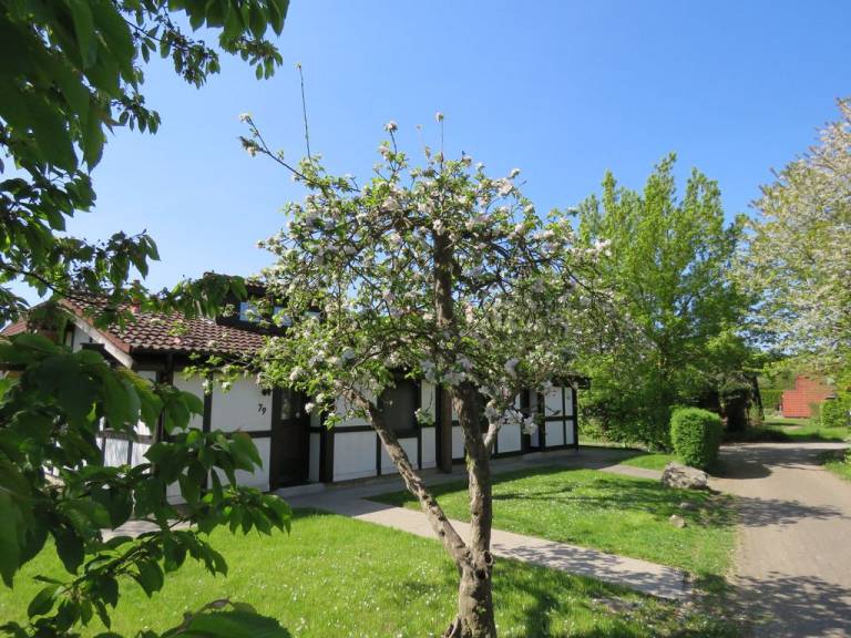 Ferienhaus  Hollern-Twielenfleth