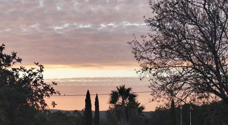 Ample vacation home | Pets are welcome — photo 5