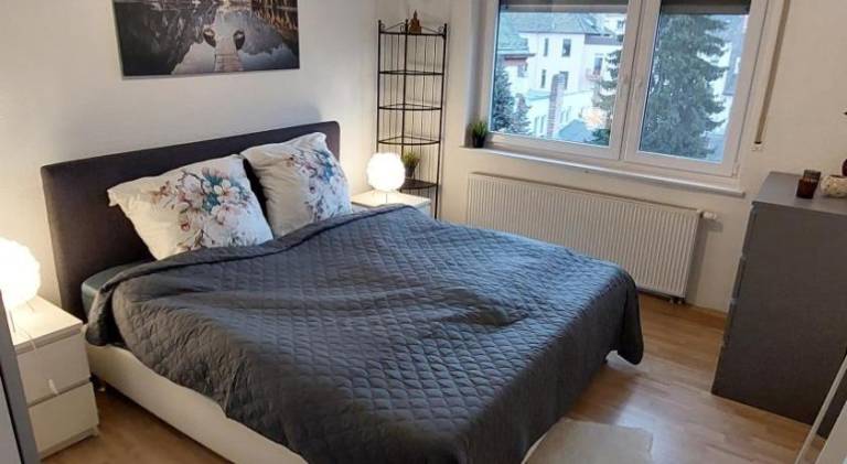 Cozy Big Luxus Apartment Mannheim Schwetzingerstadt Oststadt — photo 2