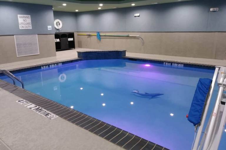 Holiday Inn Express & Suites Dallas Northeast Arboretum by IHG