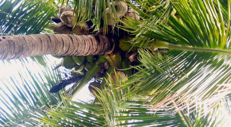 Vacation home with patio & yard | Suitable for remote work | Pet-friendly in Krabi