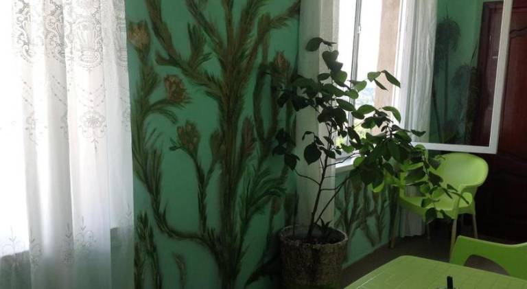 foto31