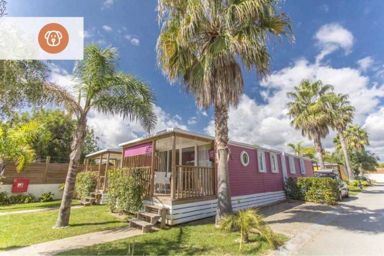 Camping  La Torre del Sol