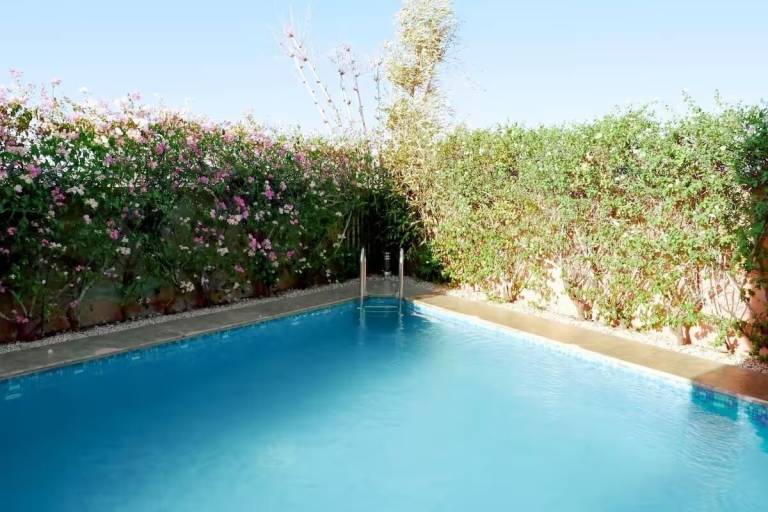 Riad Gueliz
