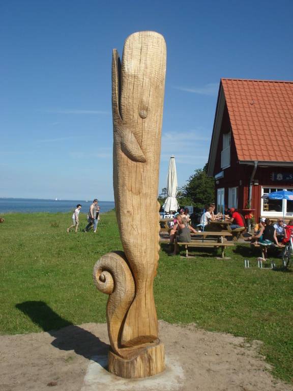 foto10