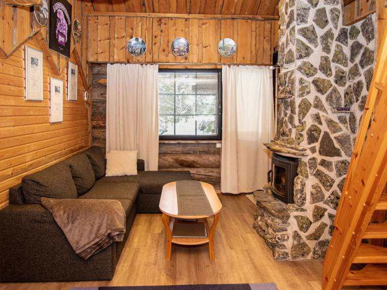 Vacation home with sauna & terrace — photo 4