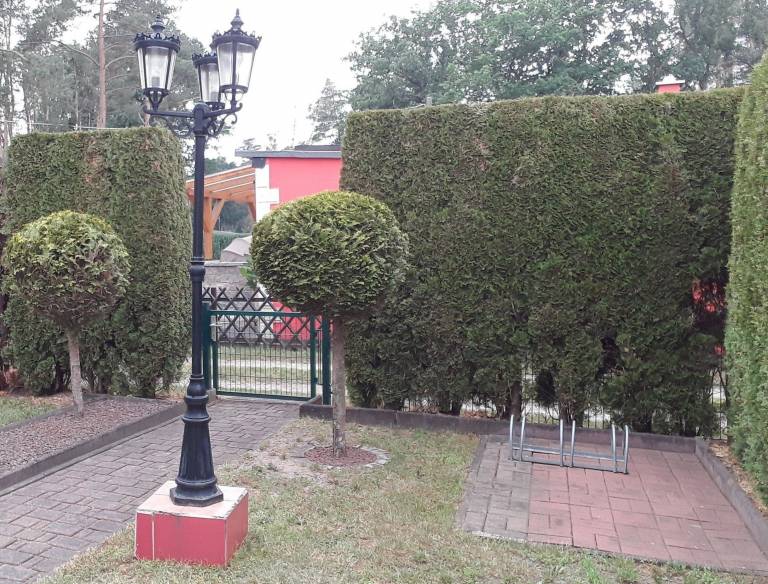 foto5