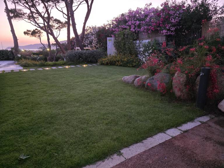 foto6