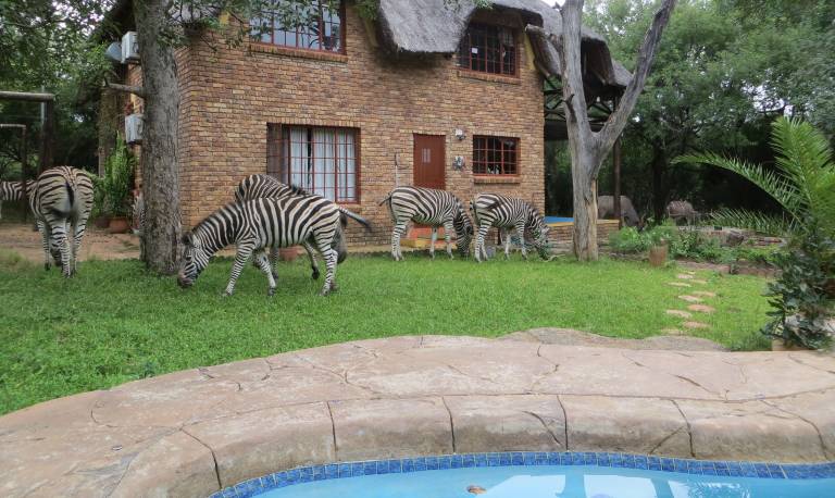 Huis  Marloth Park