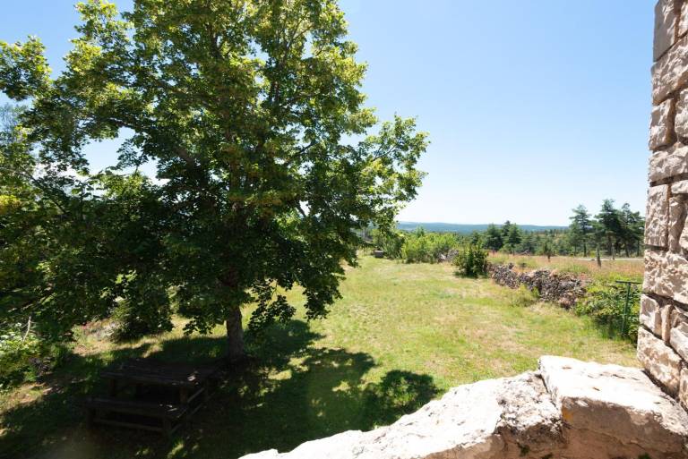 Lovely gite with garden & terrace | Pet-friendly — photo 2