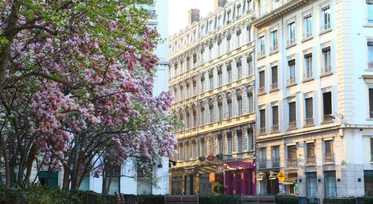 Hotel des Celestins in Villeurbanne