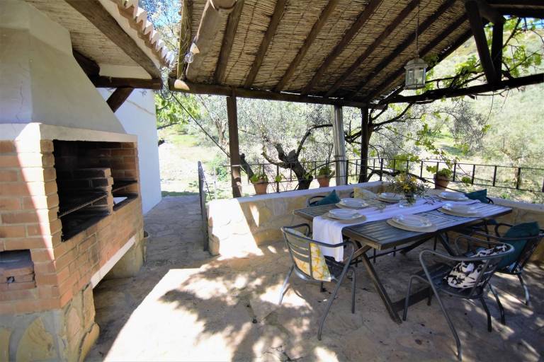 Child-friendly cottage with barbecue, patio & private pool | Nature view | Pets are welcome — photo 4