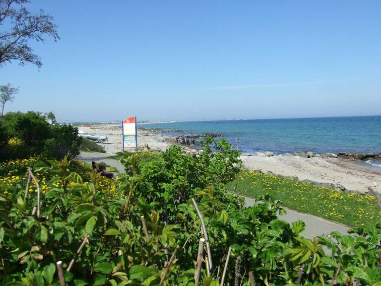 foto8