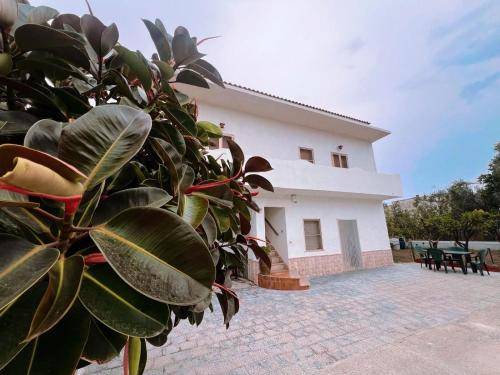 Casa Lido del Sole