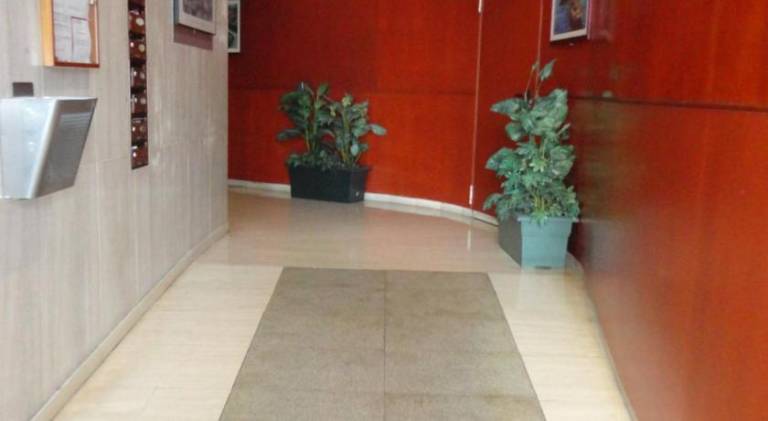 Lovely apartment | Good for workation | Pets allowed — photo 3