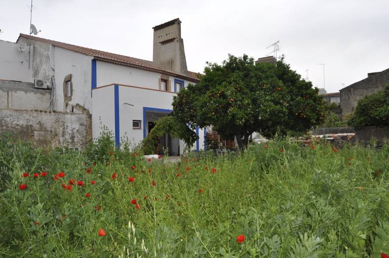 Casa Alpalhão
