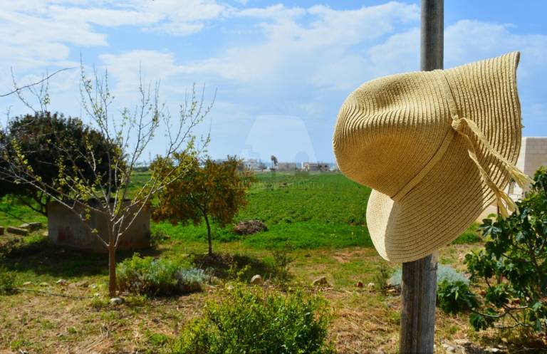 Charming vacation home with garden & barbeque | Nature view | Close to the beach | Pet-friendly — photo 4