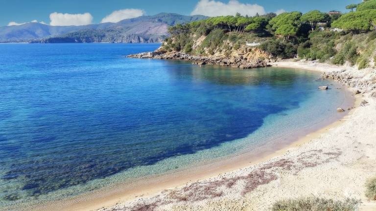 Appartamento vacanza Capoliveri