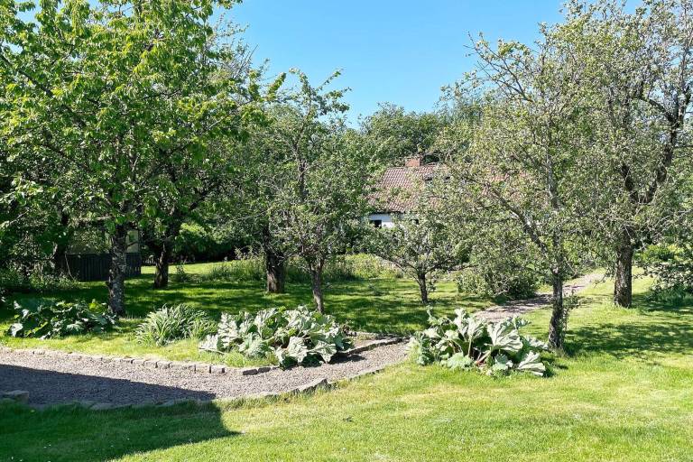 House with garden — photo 4