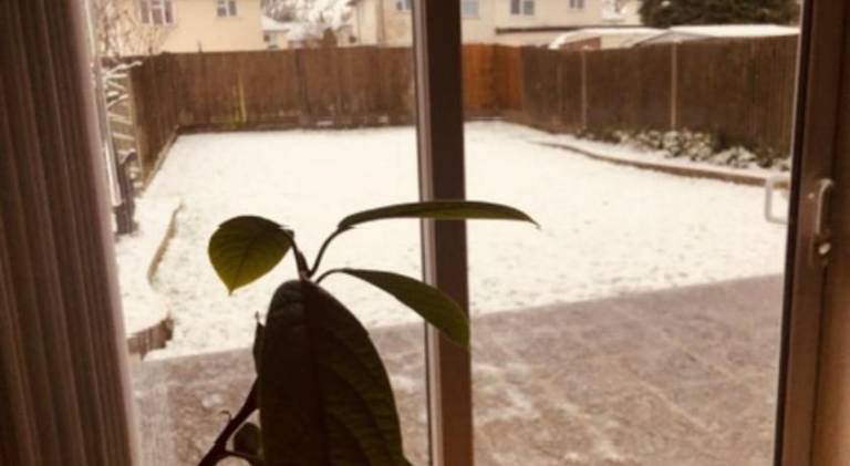 foto7