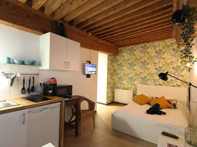Appartement Lyon