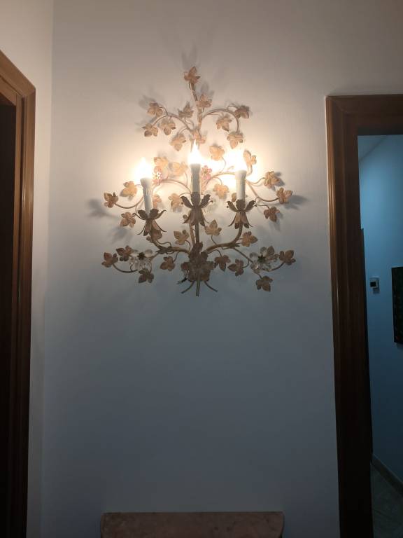 foto6