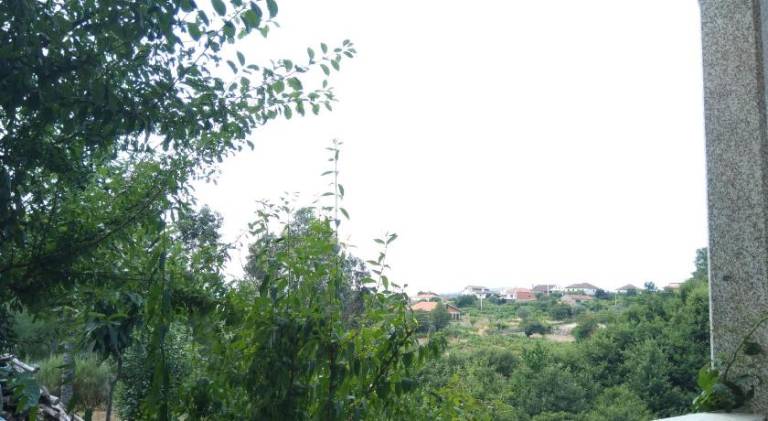 foto18