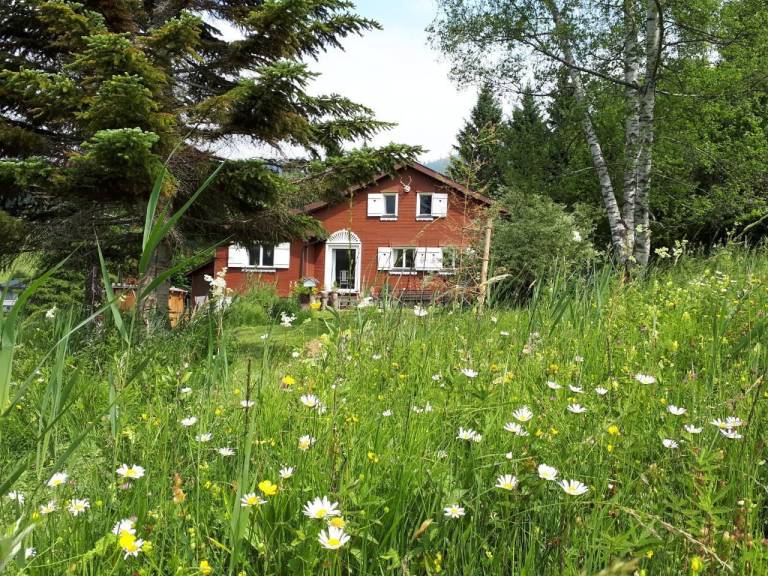 Ferienhaus Wildhaus