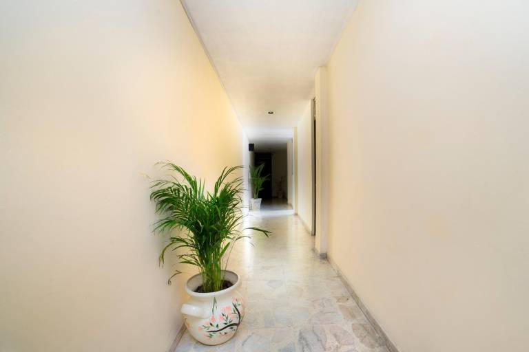 Capital O Hotel Diez — photo 5