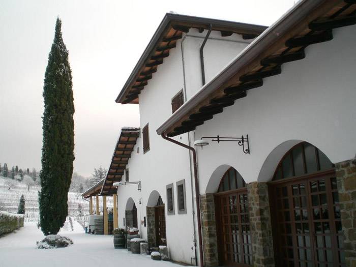Giorgio Colutta: Verduzzo — photo 4