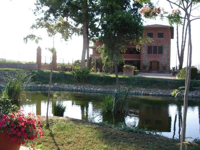 Fattoria Settepassi: Appartamento TRILOCALE PER 4 uso cucina — photo 2